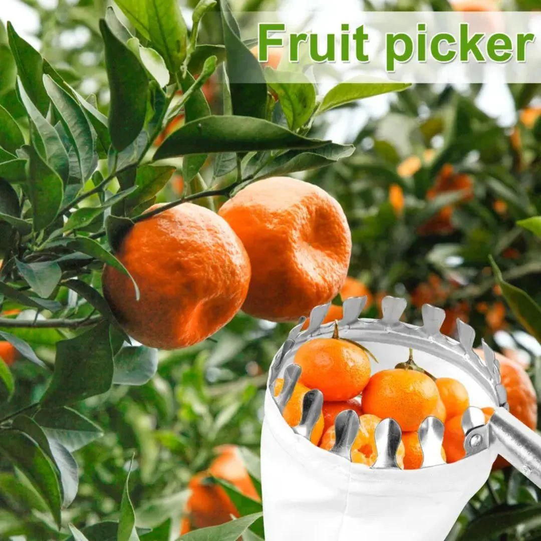 Fruit picker - Image 3